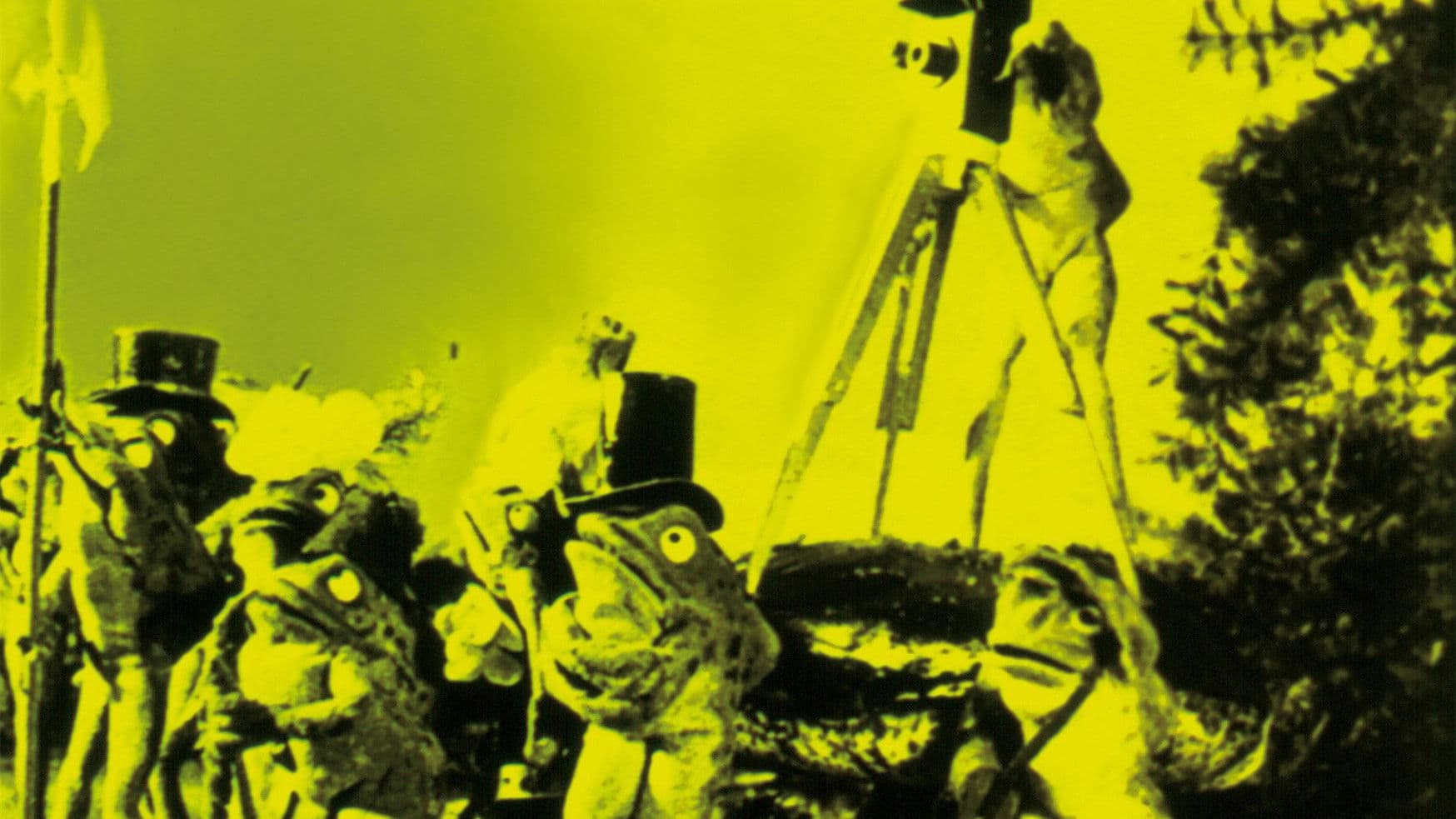 Les Grenouilles qui demandent un roi