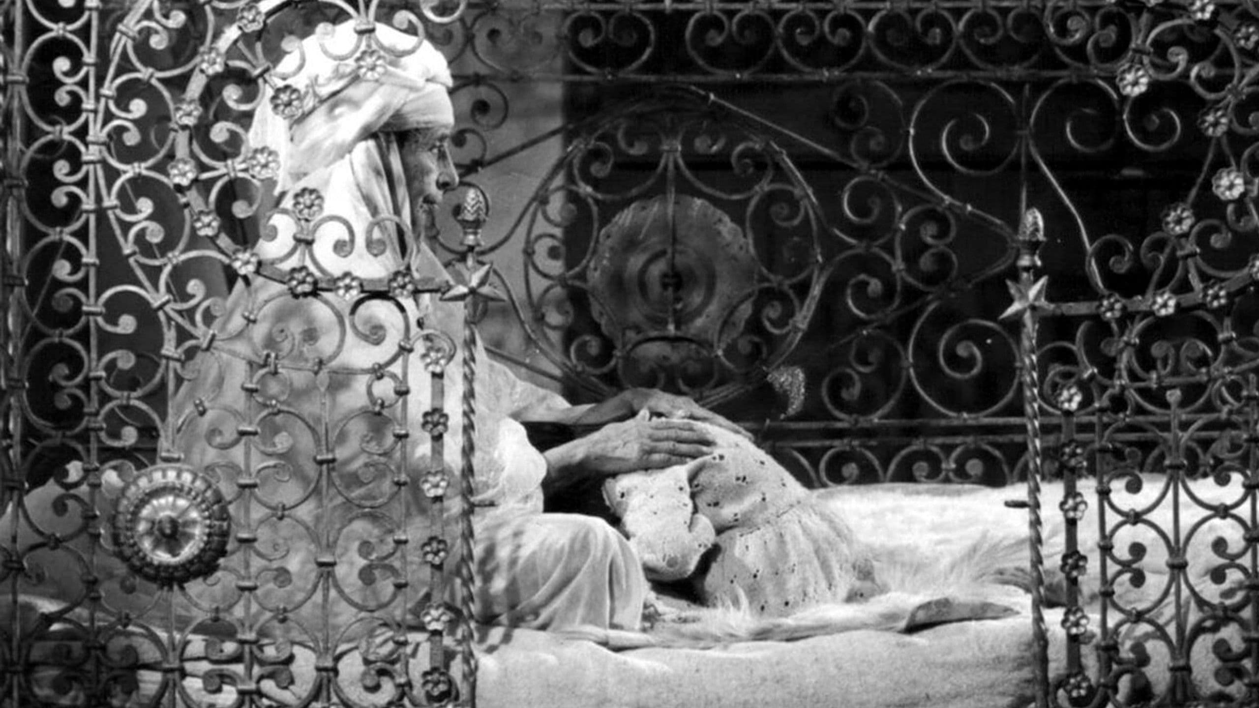 نوبة نساء جبل شنوة