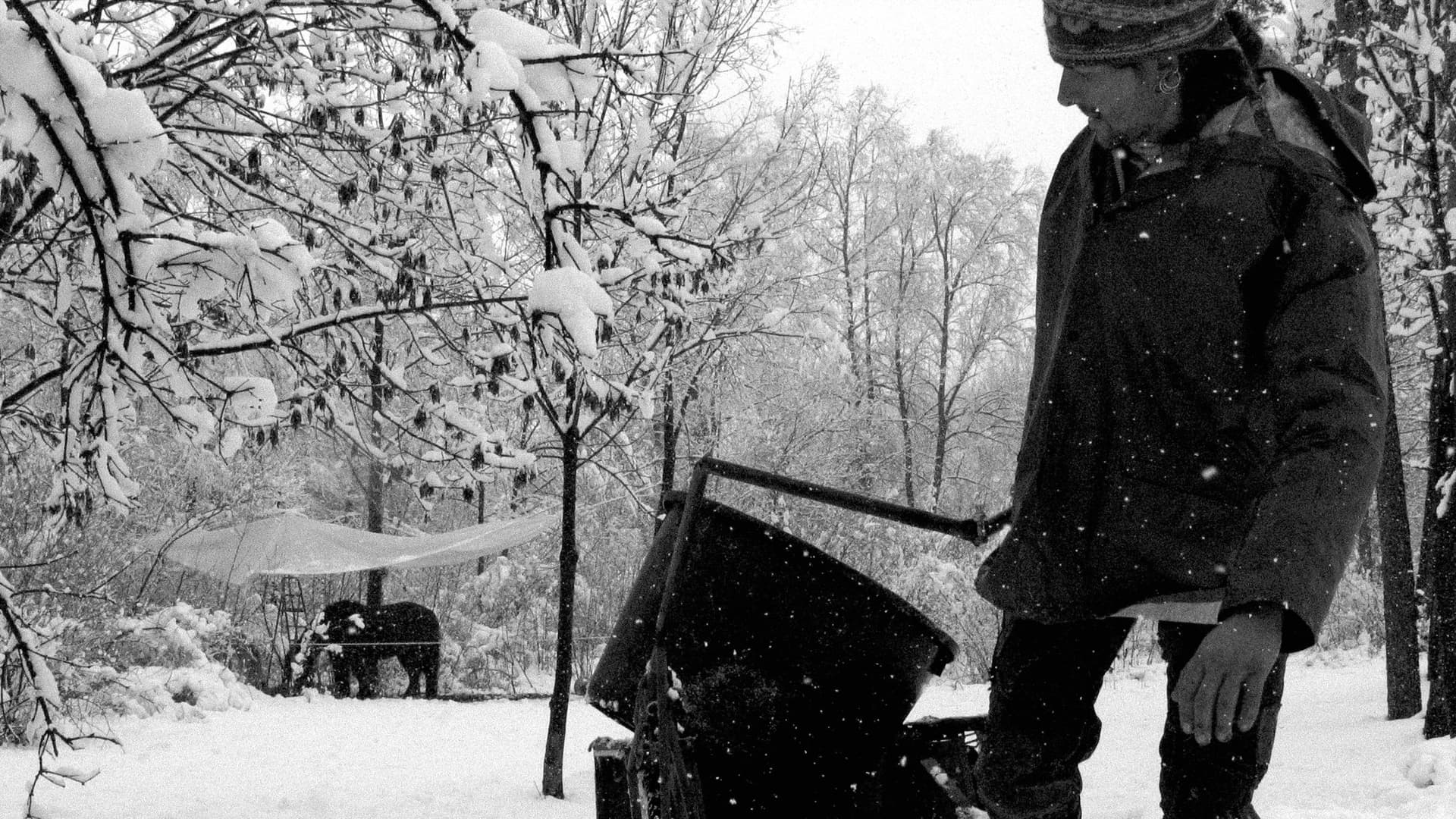 Un piccolo spettacolo