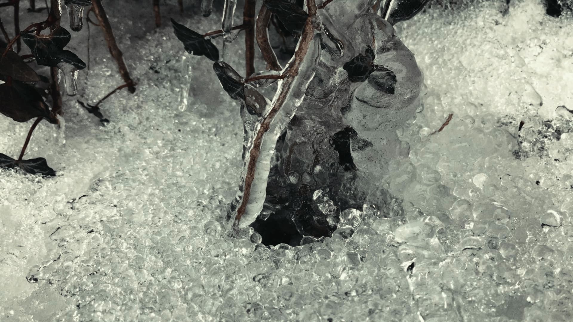 Friend of the Drifting Light