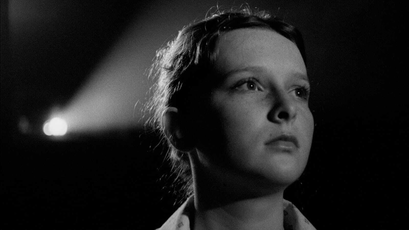 Napló gyermekeimnek