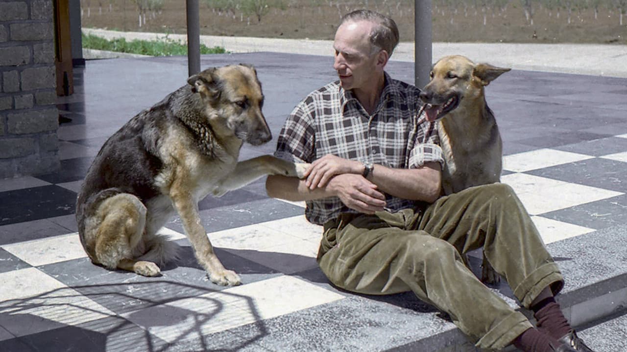 Colonia Dignidad - Aus dem Innern einer deutschen Sekte