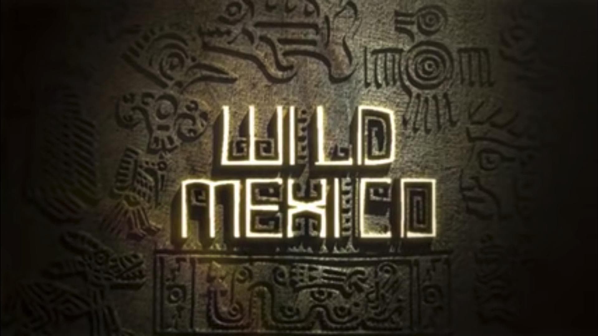 Wild Mexico