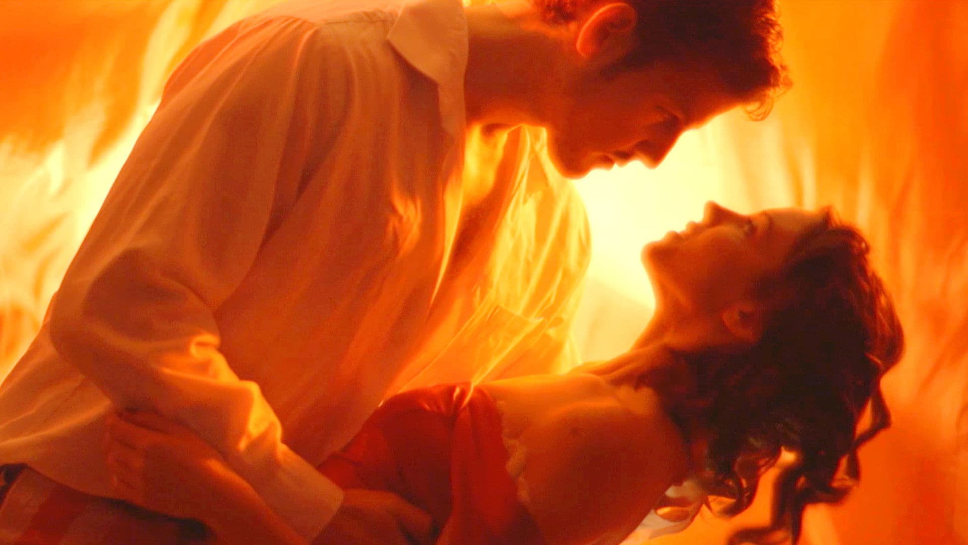 The Concessionaires Must Die!