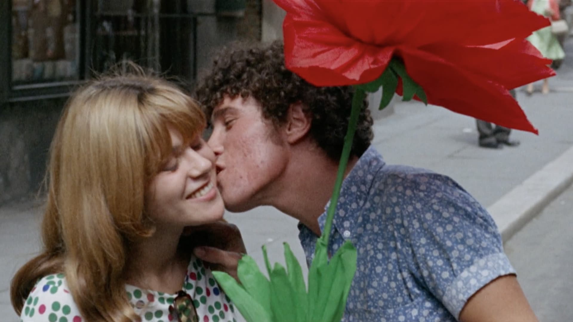 La sequenza del fiore di carta