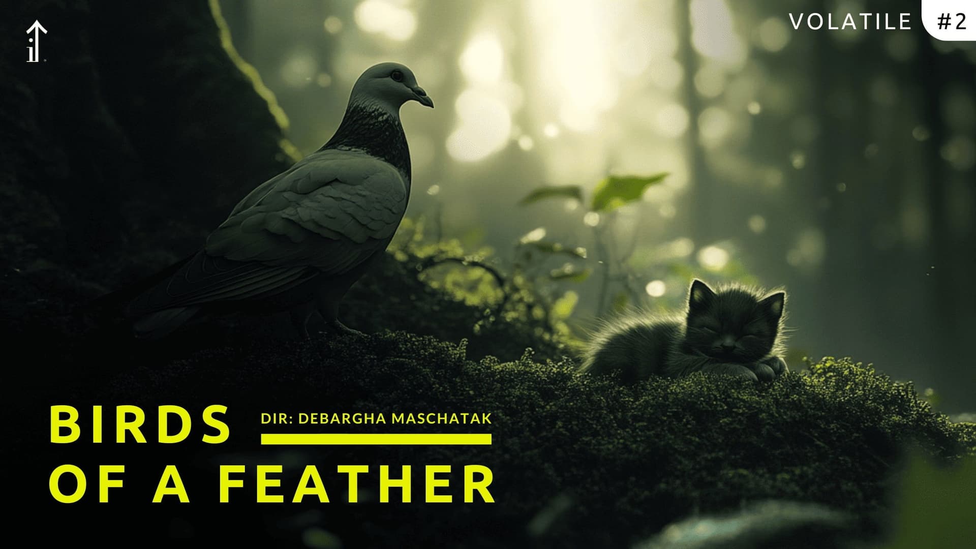 Volatile: Birds of a Feather