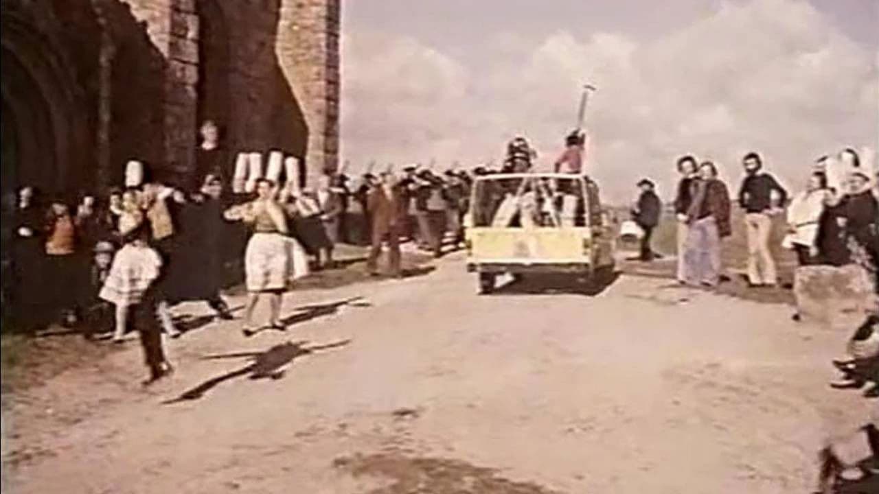 Vos gueules les mouettes