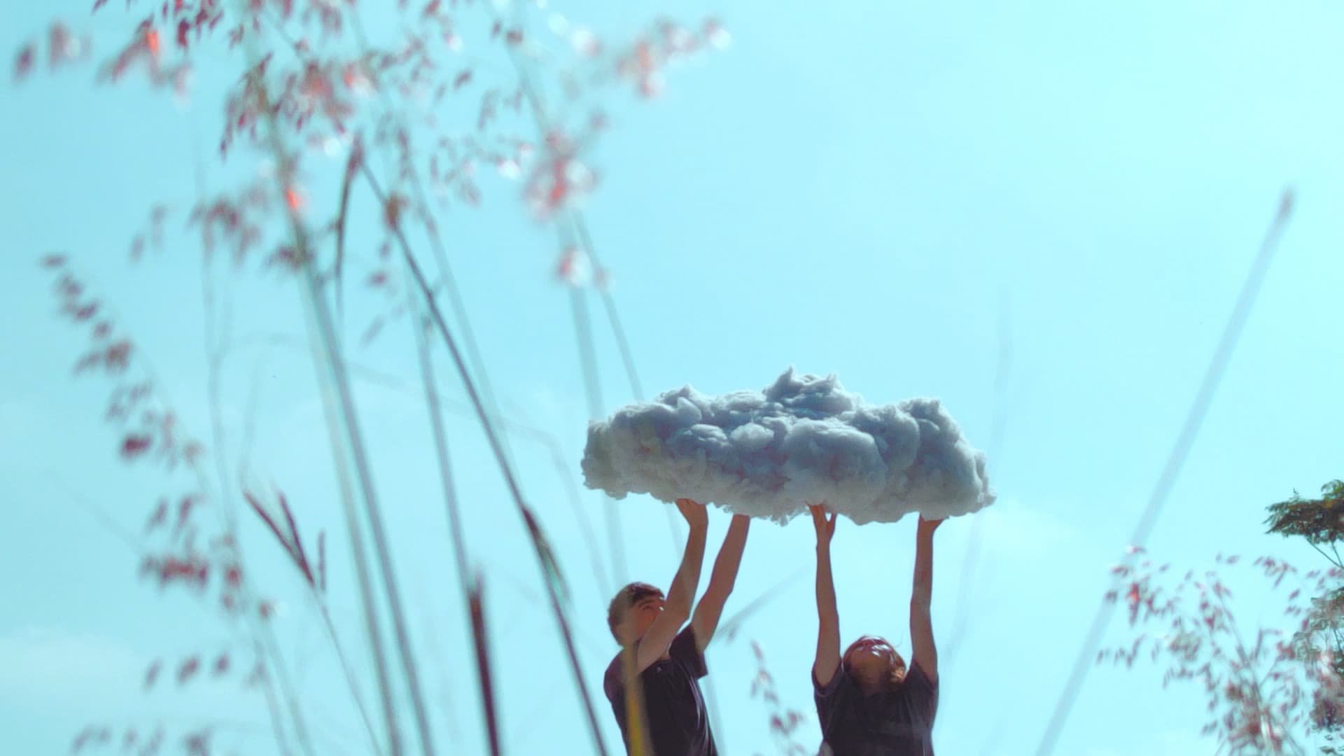 La piel de las mandarinas