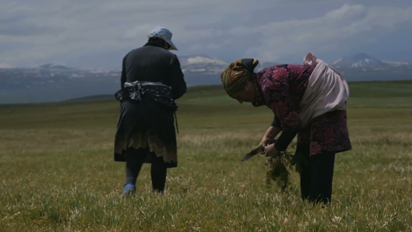 Կանանց Գյուղը