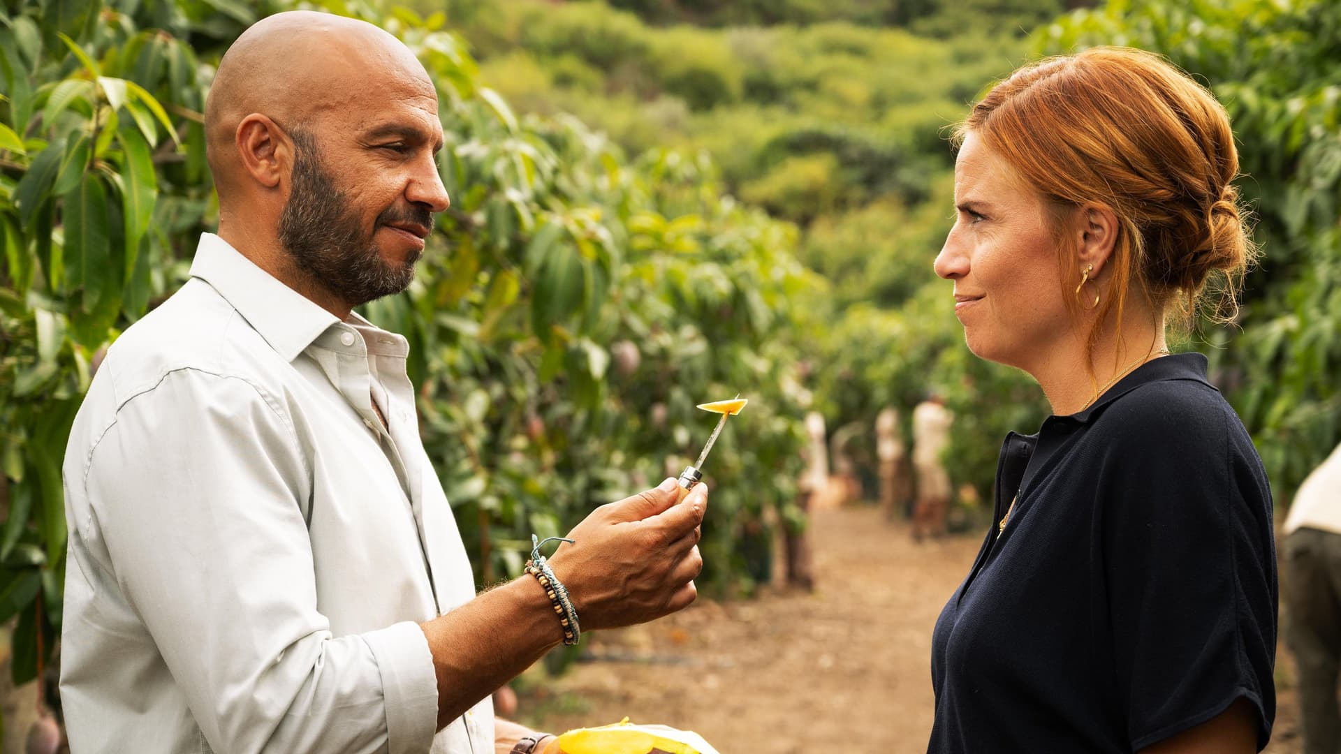 Hotelul din livada de mango