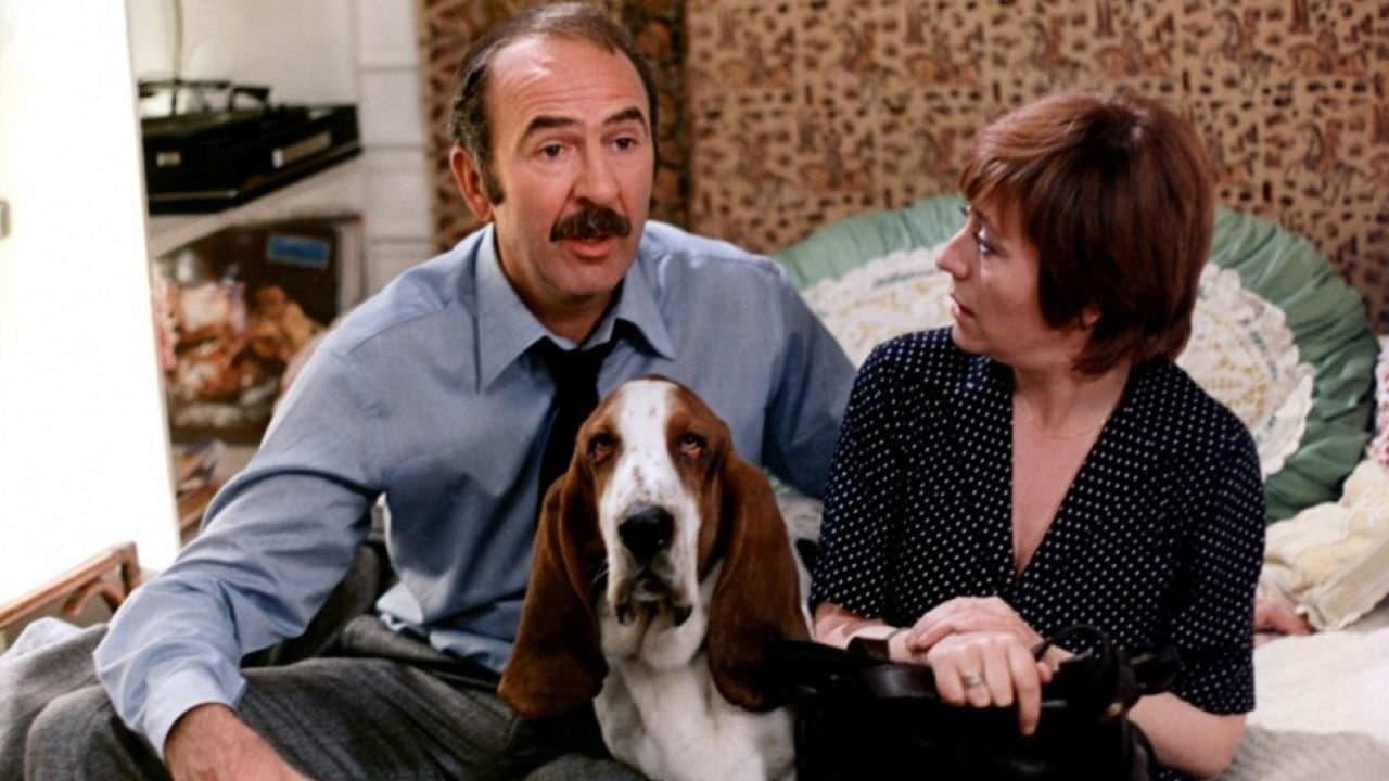 Aleargă după mine ca să te prind