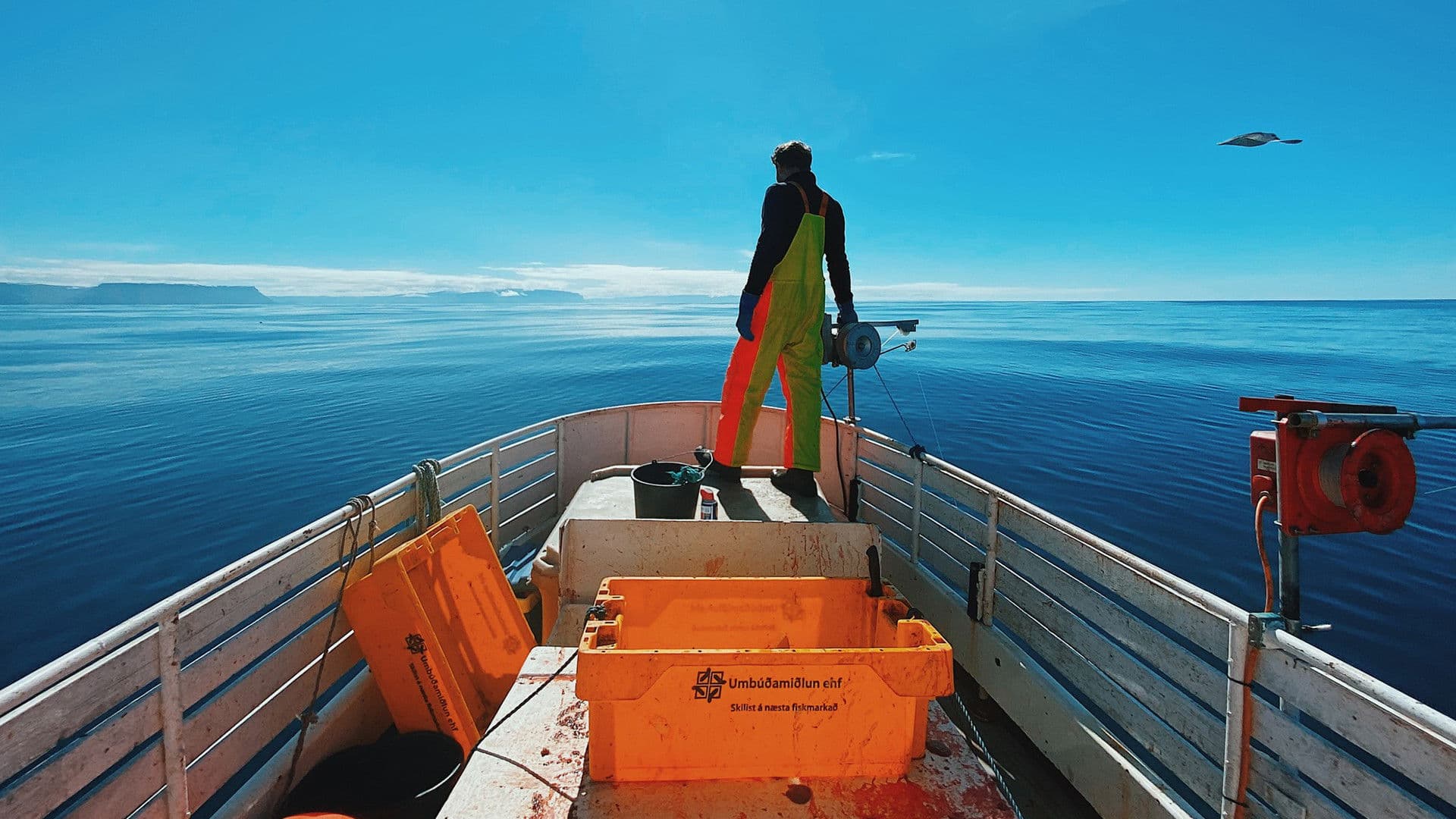 Skuld – For the Love of Cod