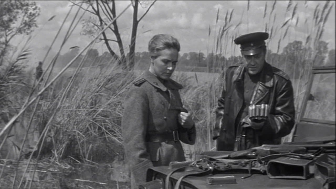 Весна на Одере