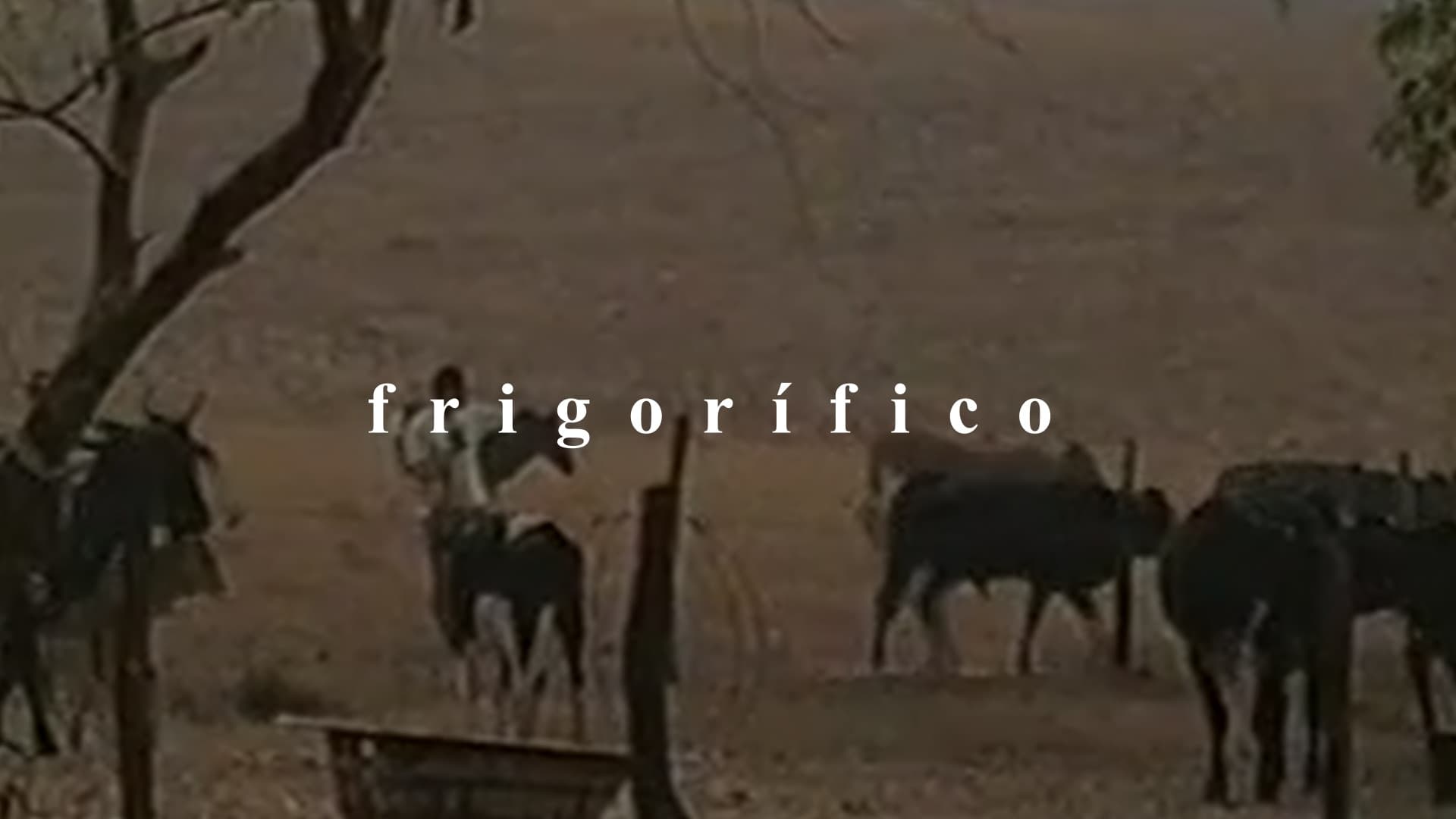 Frigorífico