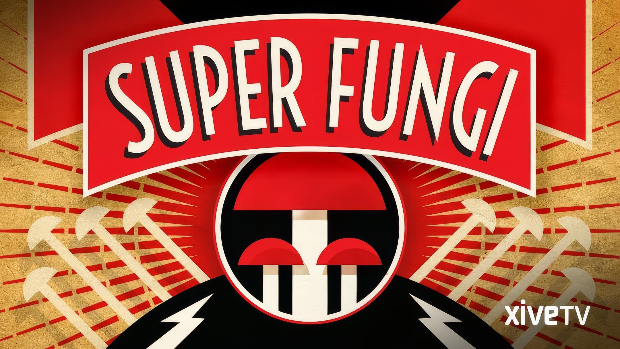 Super Fungi
