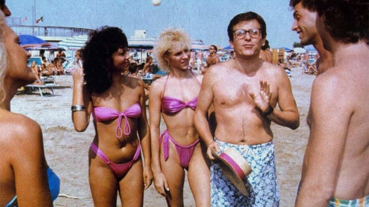 Rimini Rimini: Un an mai târziu