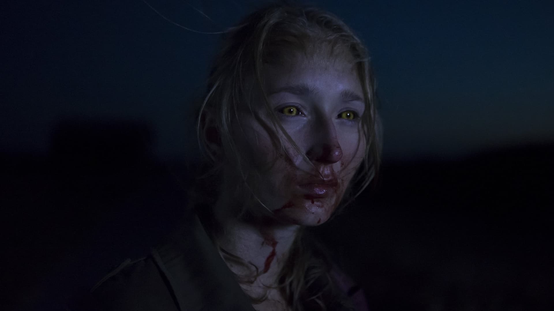 Når dyrene drømmer