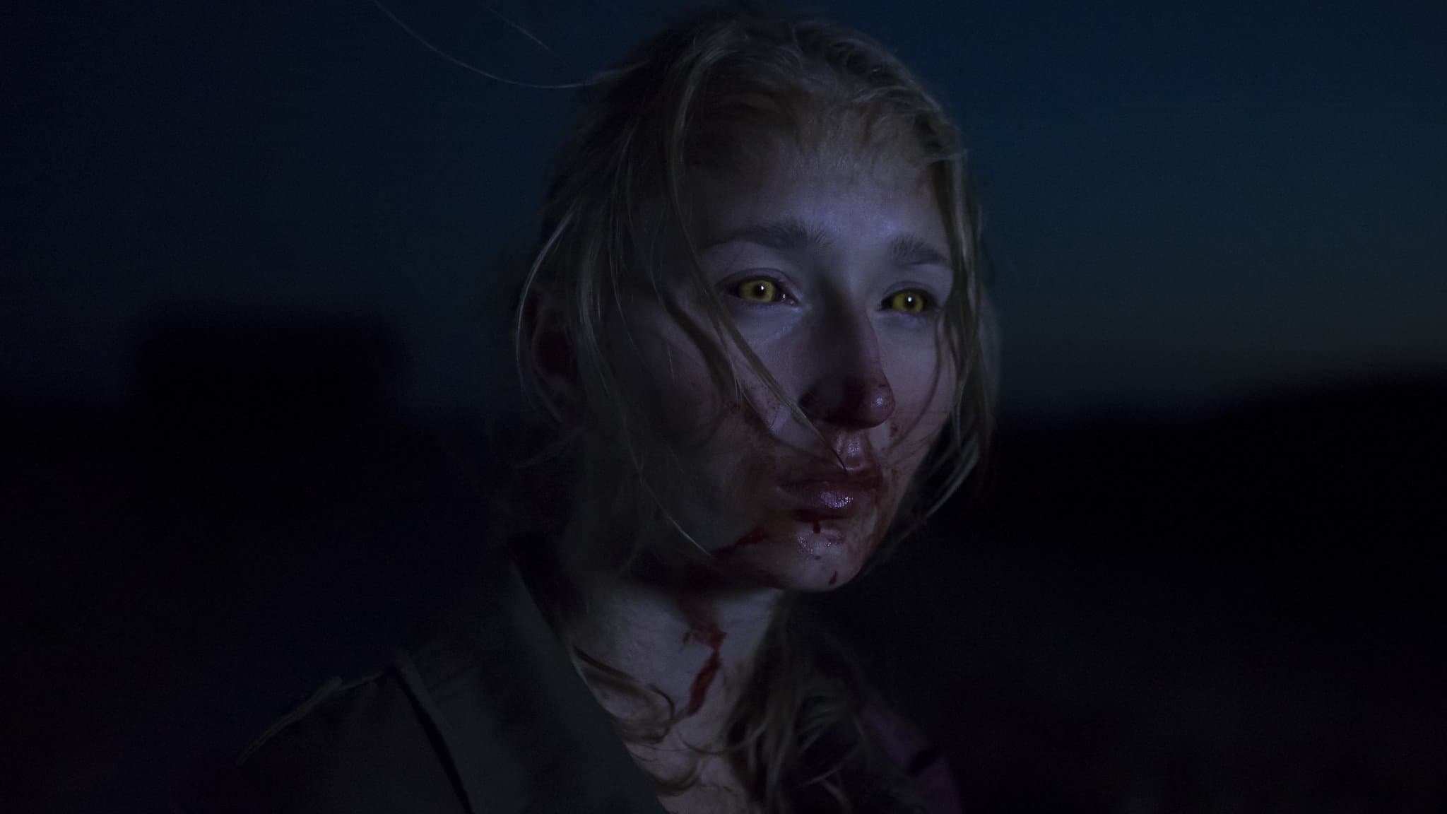 Når dyrene drømmer