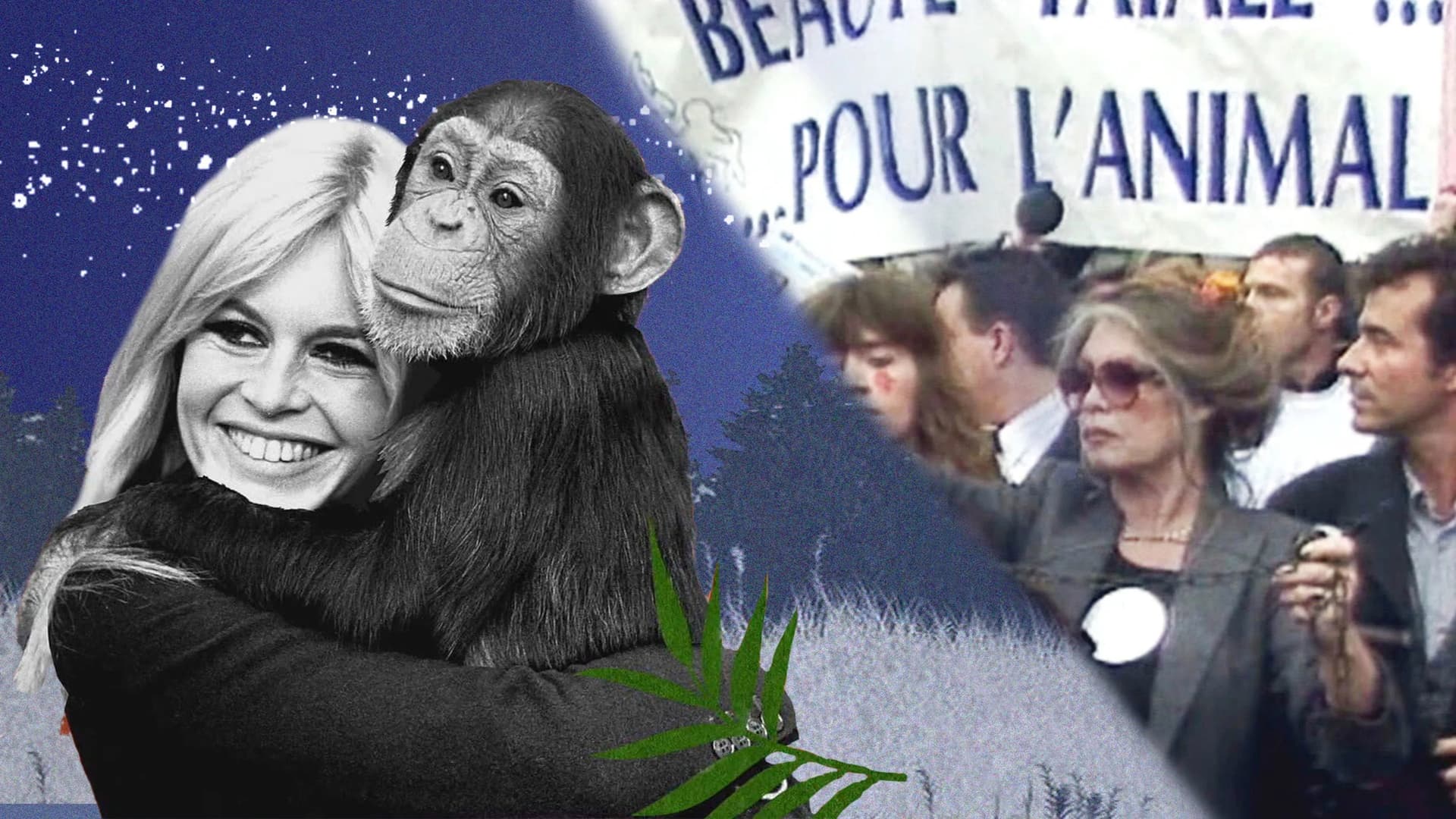 Brigitte Bardot, le serment fait aux animaux
