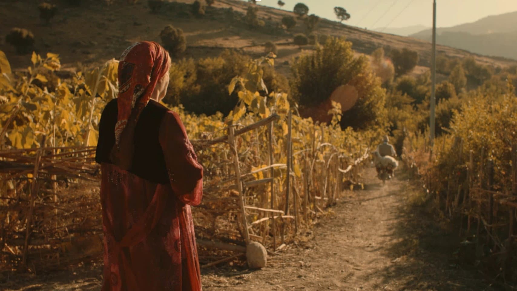 غەریبانە لەم خۆشبەختییە دەڕوانم