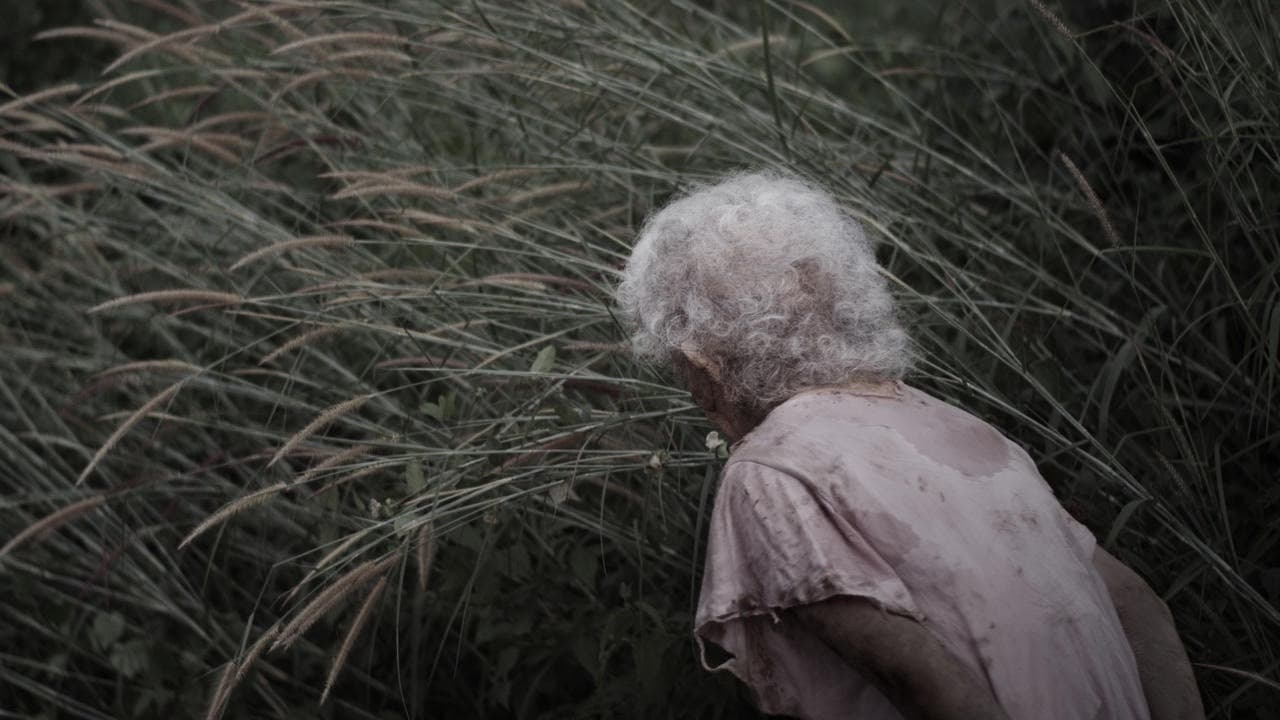 วานิชชิ่ง พอยท์