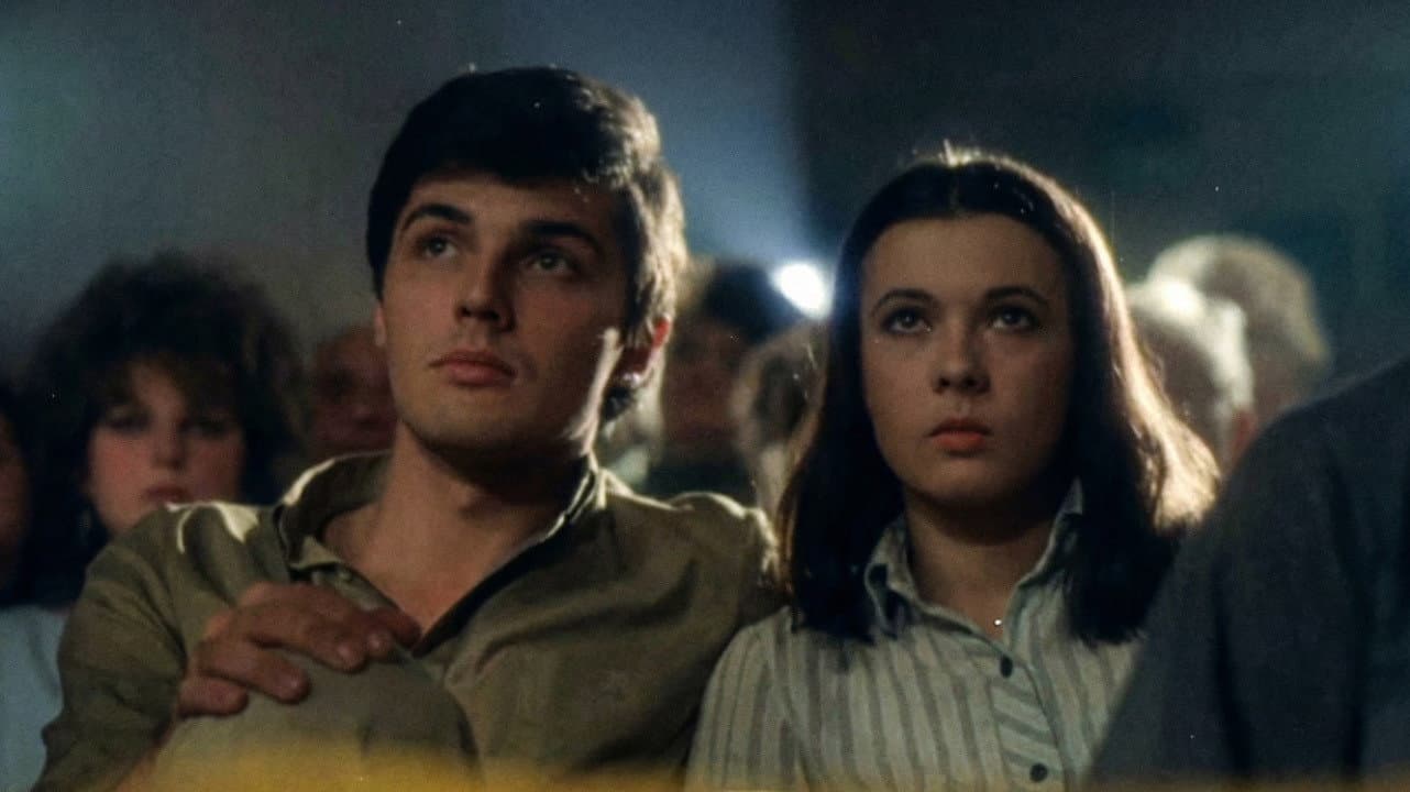 Liceenii: Declarație de dragoste