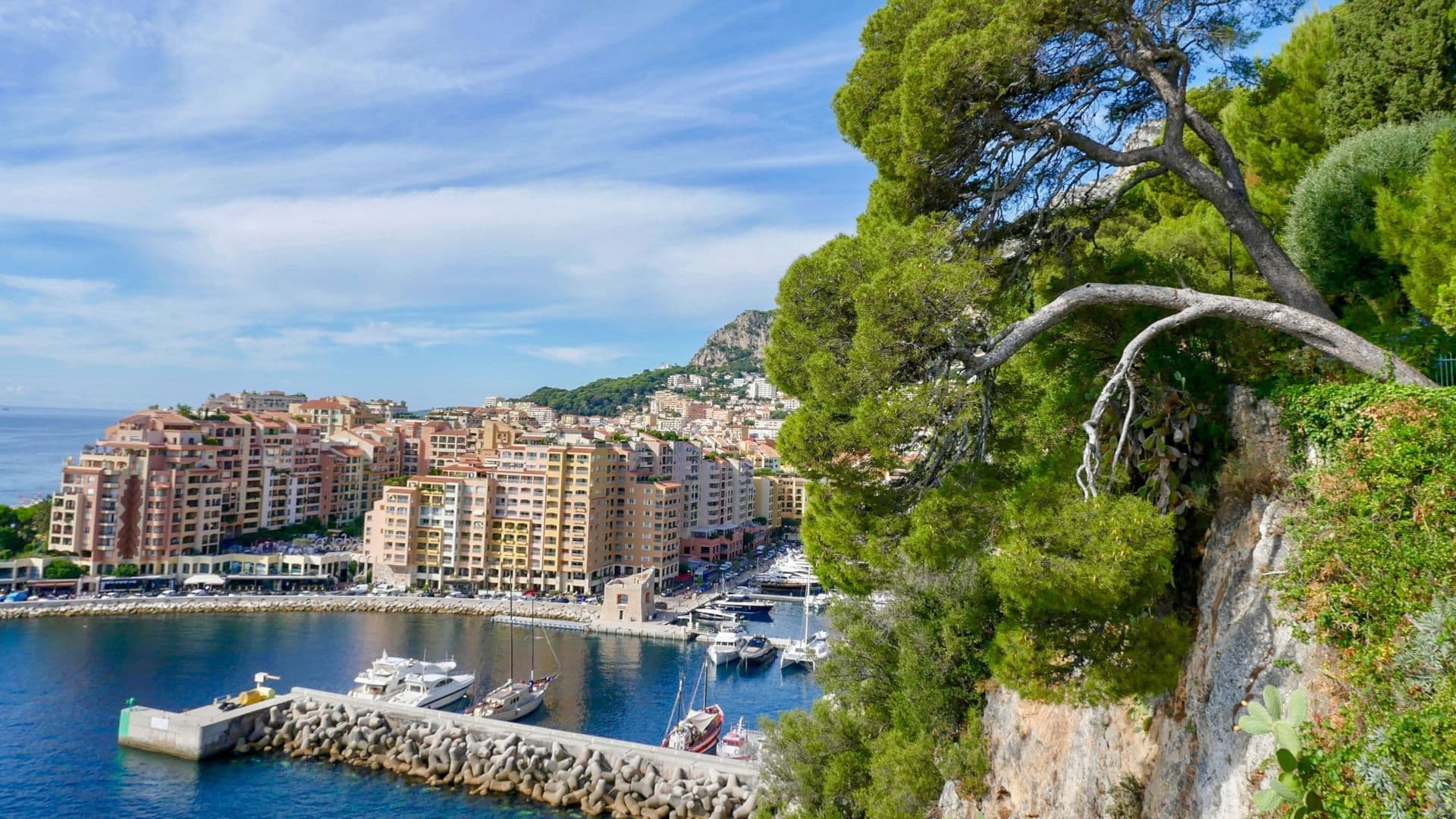 Kleines Land ganz groß