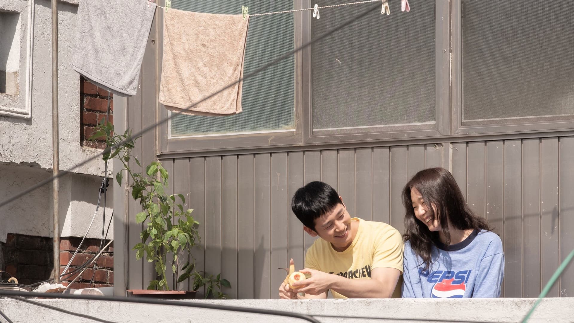 Frecvența dragostei