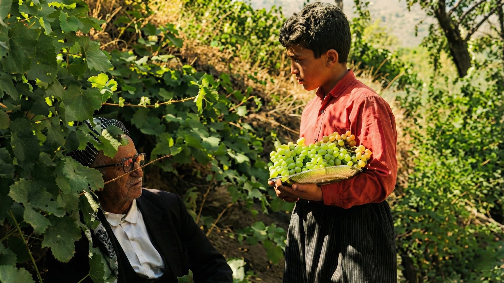 وڵاتی گوڵەبەڕۆژەکان