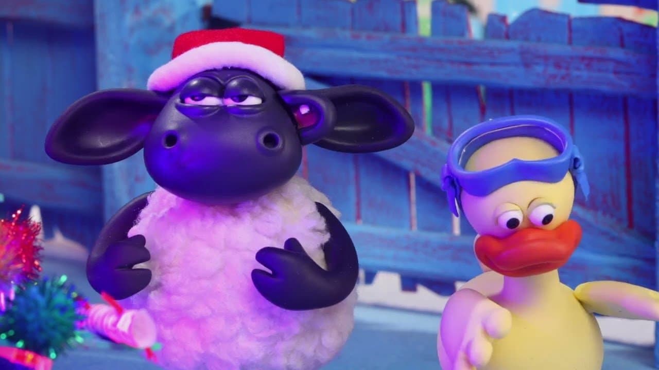 Timmy's Christmas Surprise