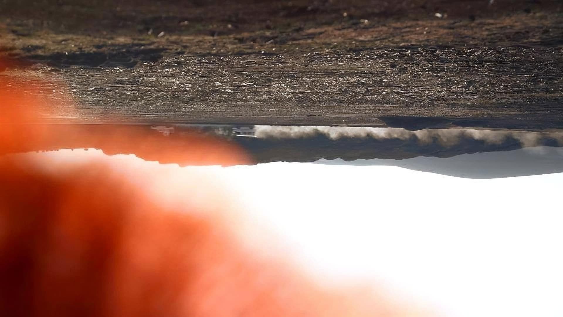 کۆشکی مێروولەکان