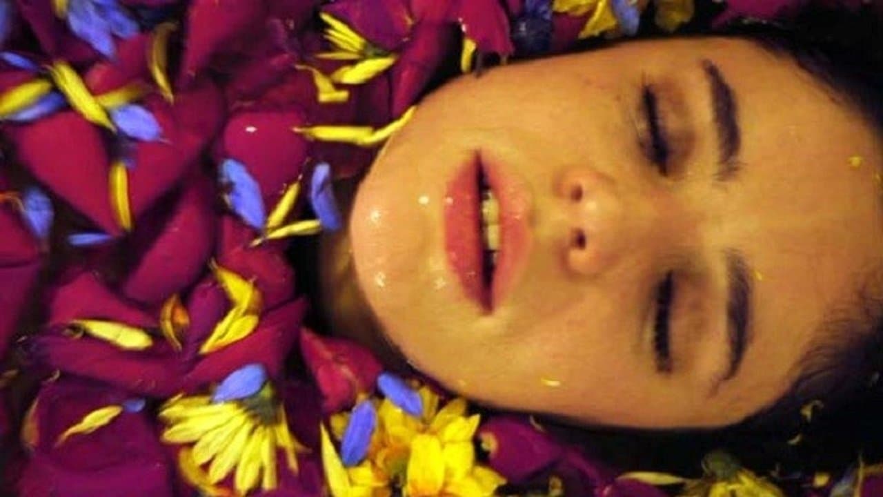 Violeta de mil colores