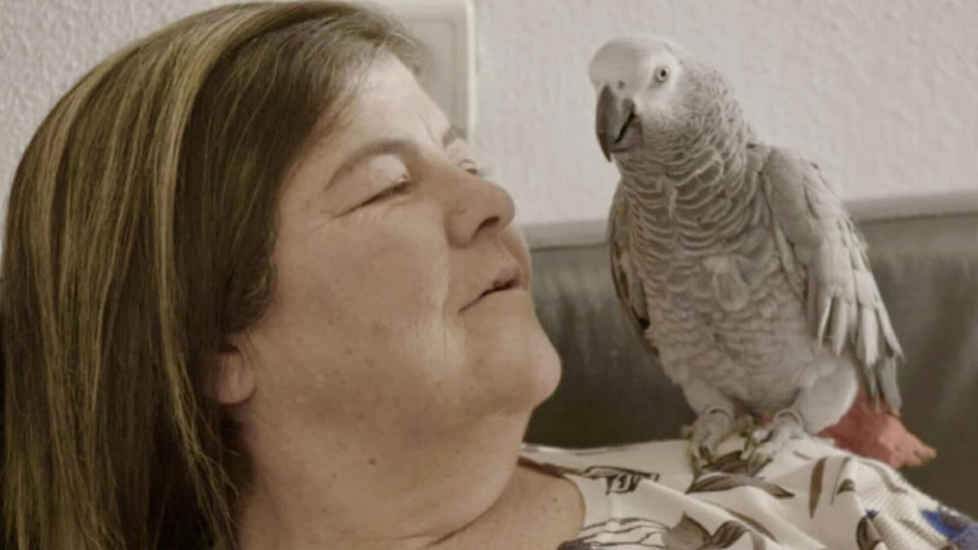 7 מונולוגים על זנות