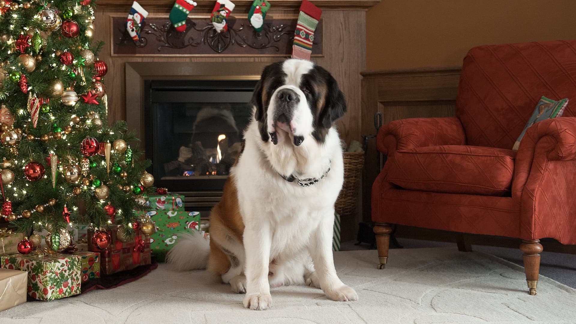 De Crăciun cu Beethoven