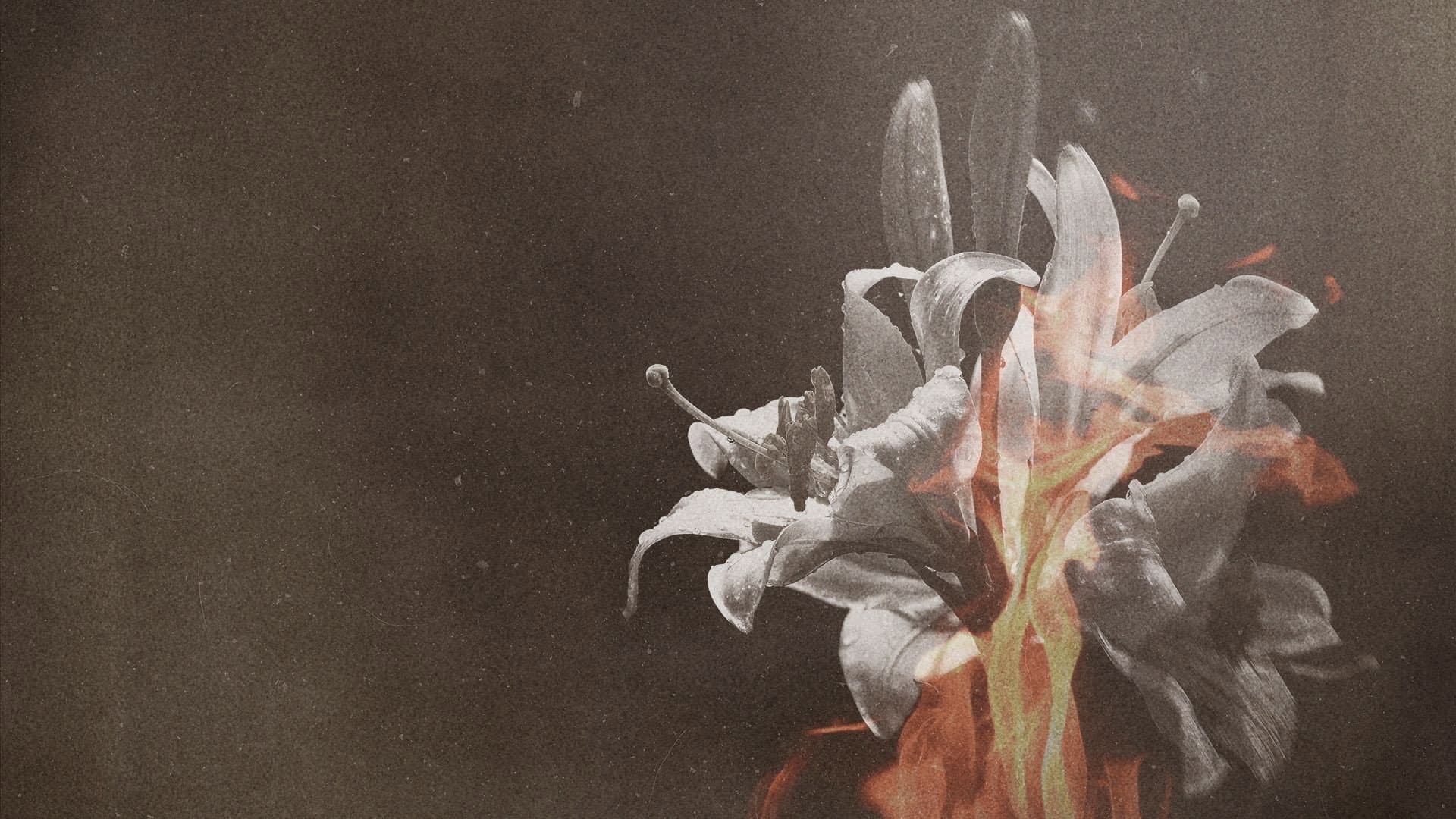 Tortured to Death Murdering the Nanny