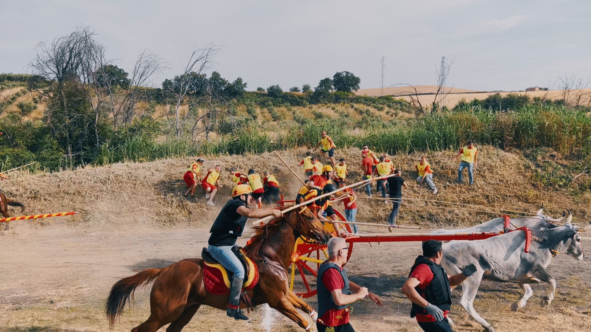 Molise Tropico Felice