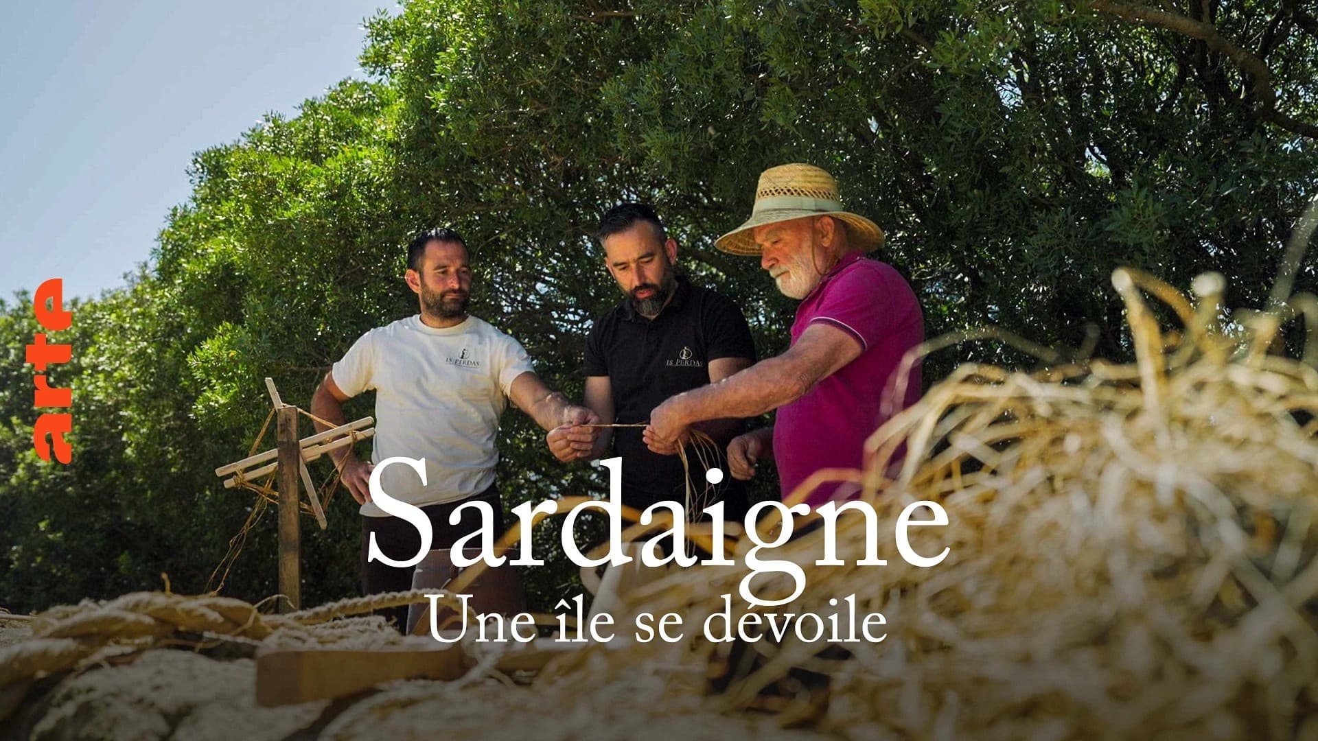 Sardinien - Der kleine Kontinent im Mittelmeer