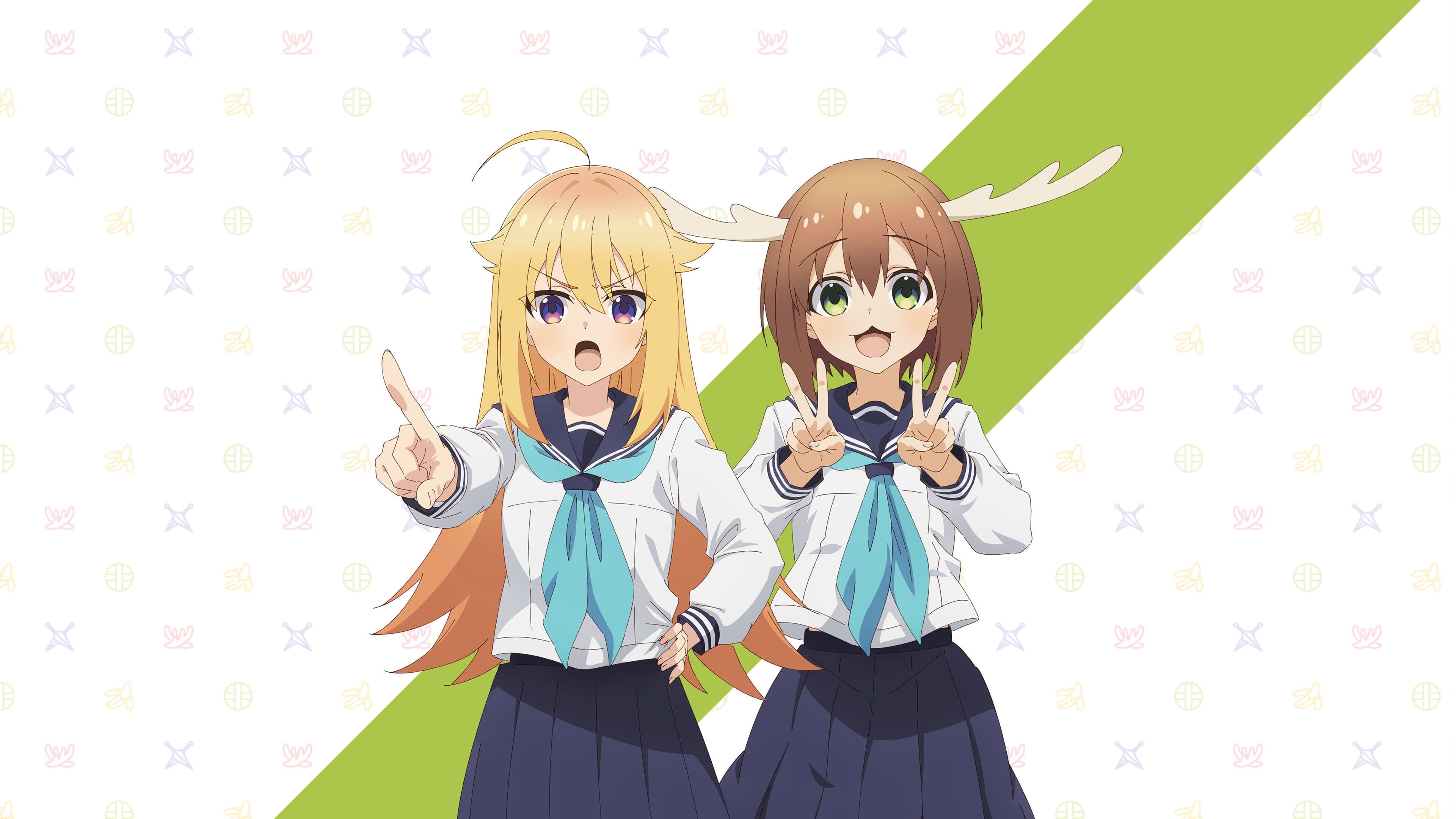 しかのこのこのここしたんたん