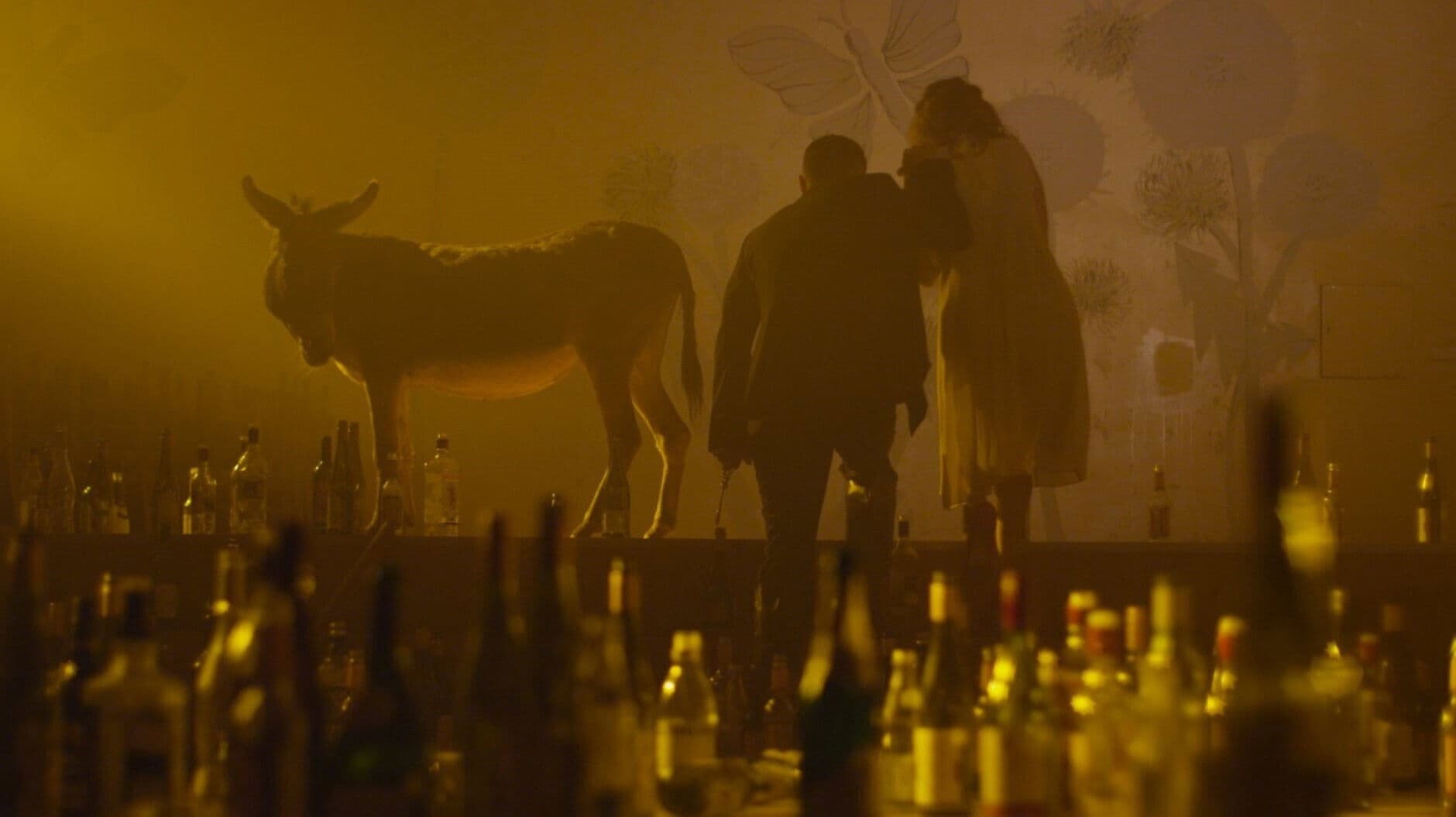 Es atgriezīšos kā kvēlojoša roze