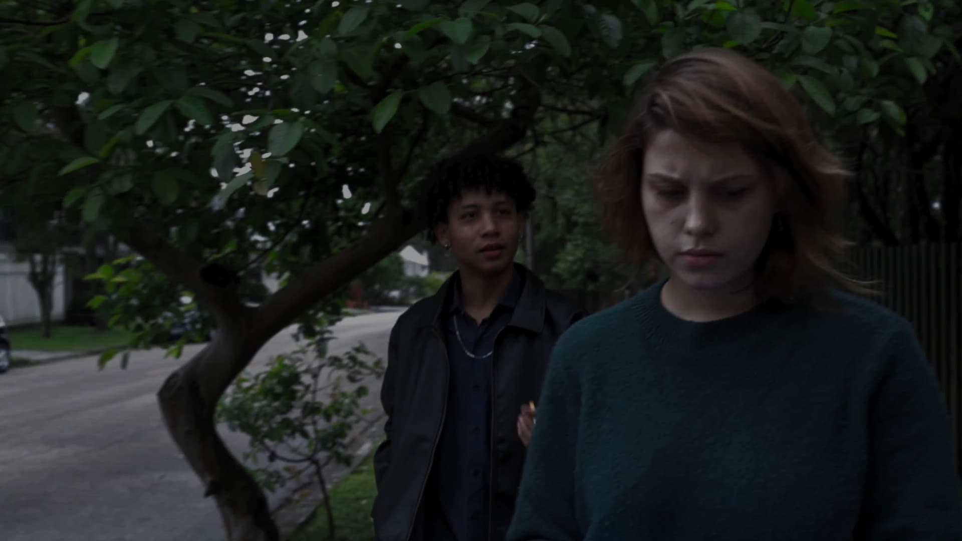 Curitiba, Lar de Vampiros