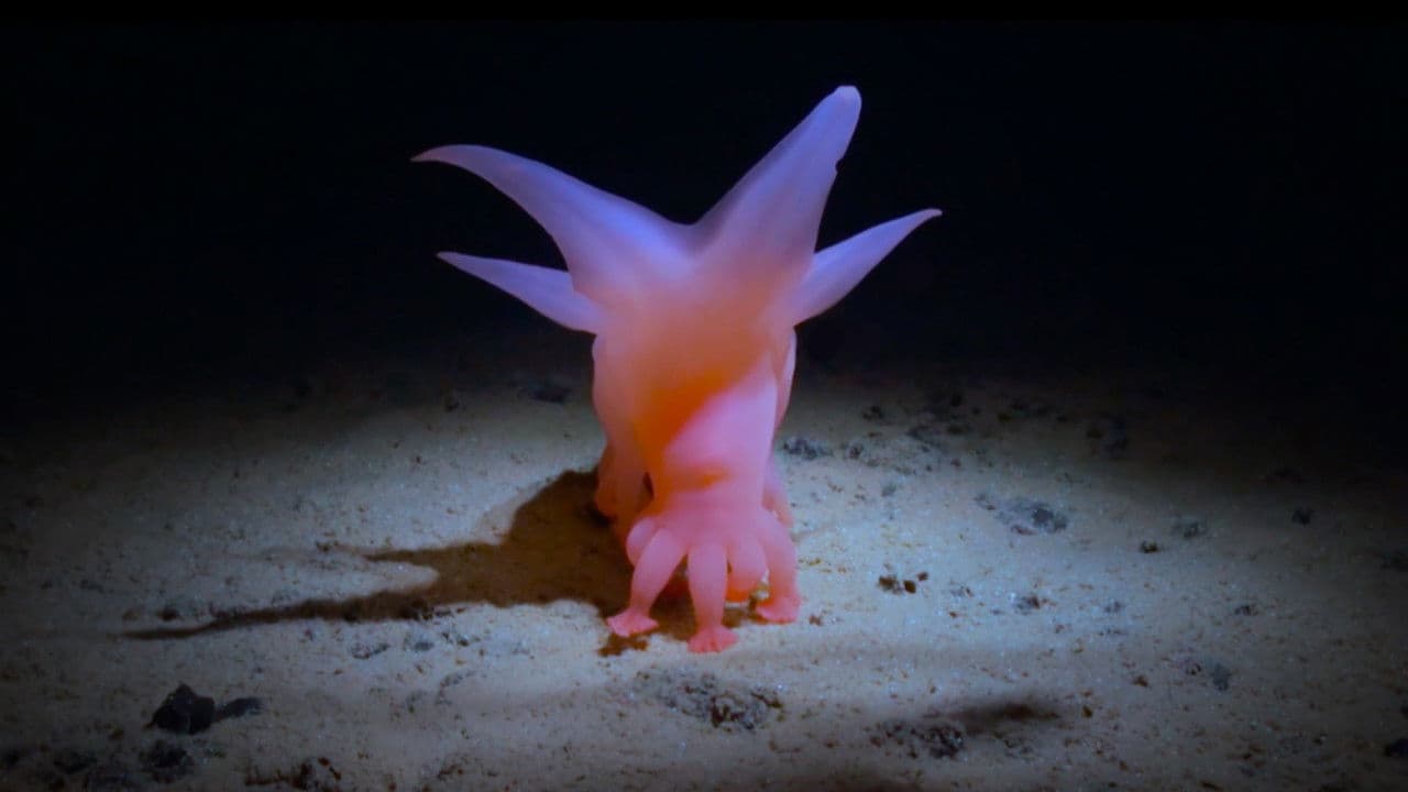 How Deep Is Your Love