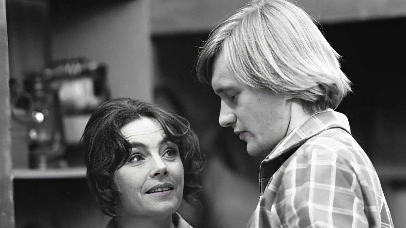 Pozwolenie na odstrzał