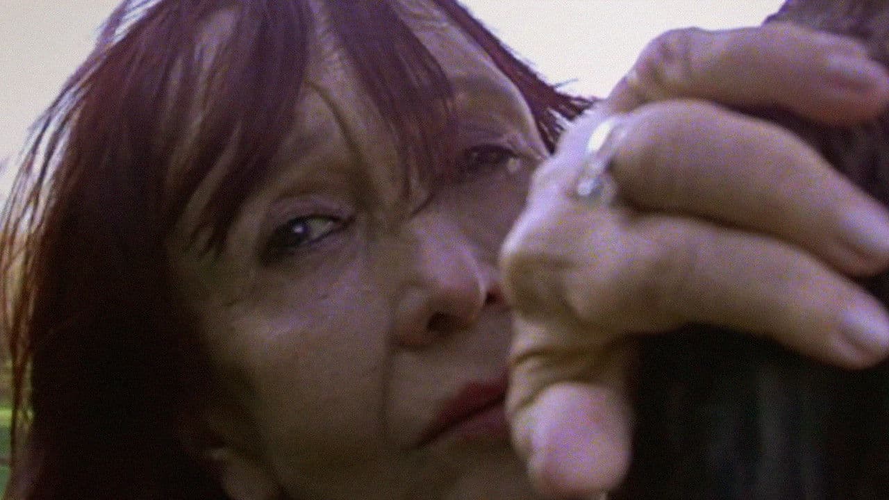 Primavera Em Cada Vida