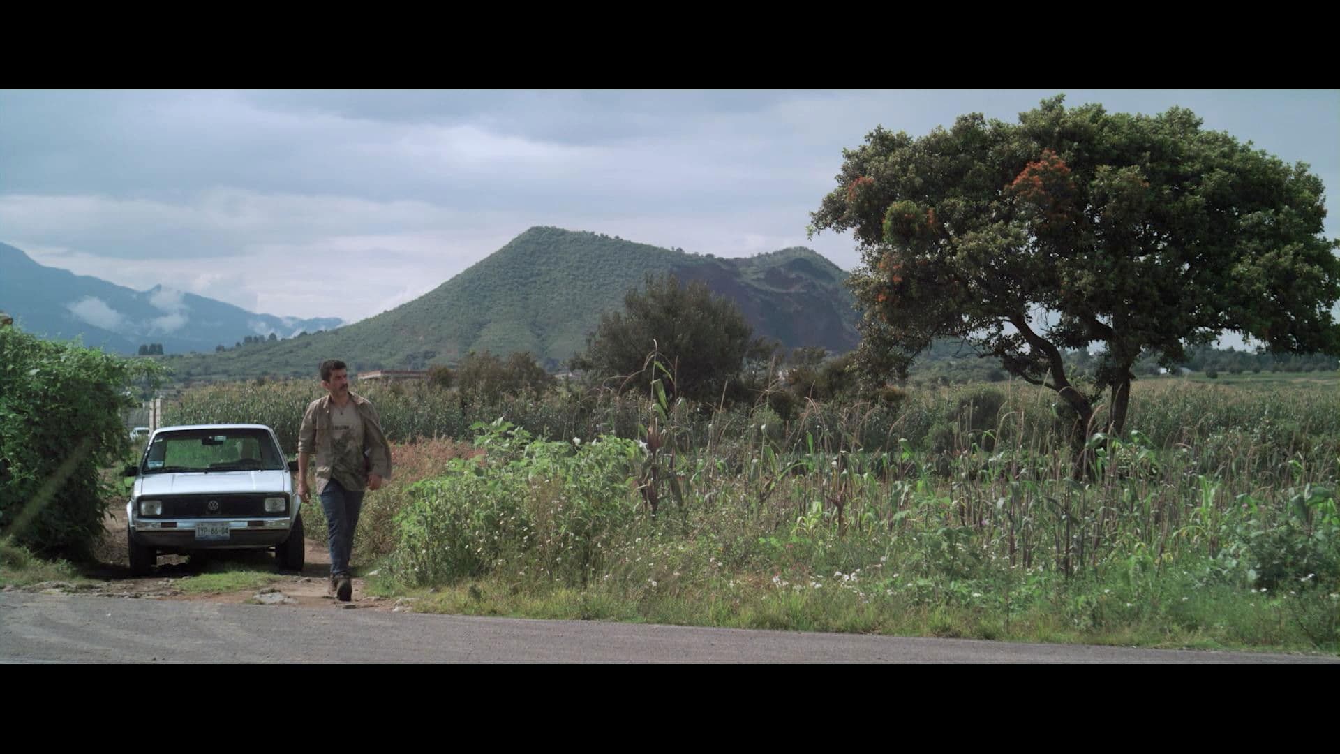 Lo contrario de la muerte