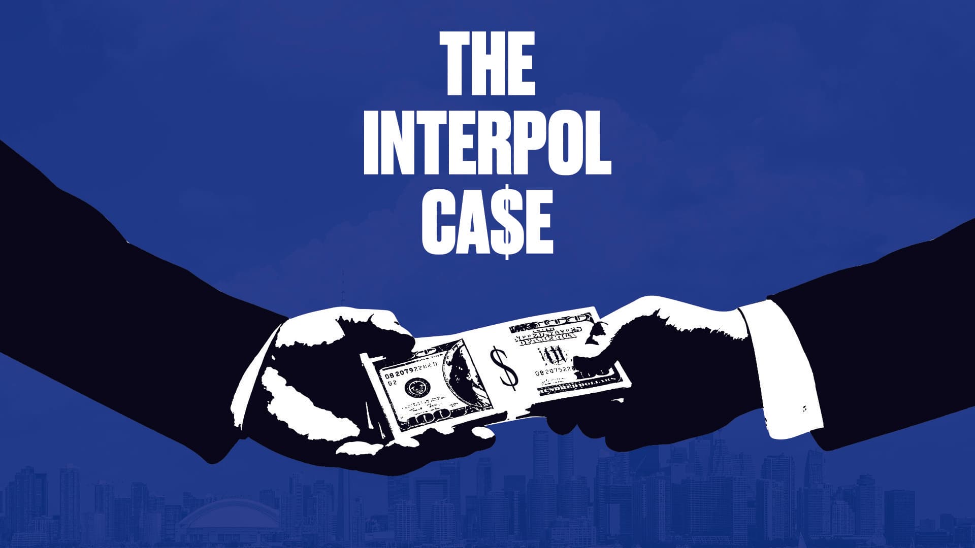 The Interpol Case