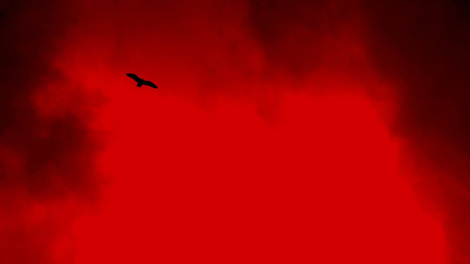 A Morte Branca do Feiticeiro Negro