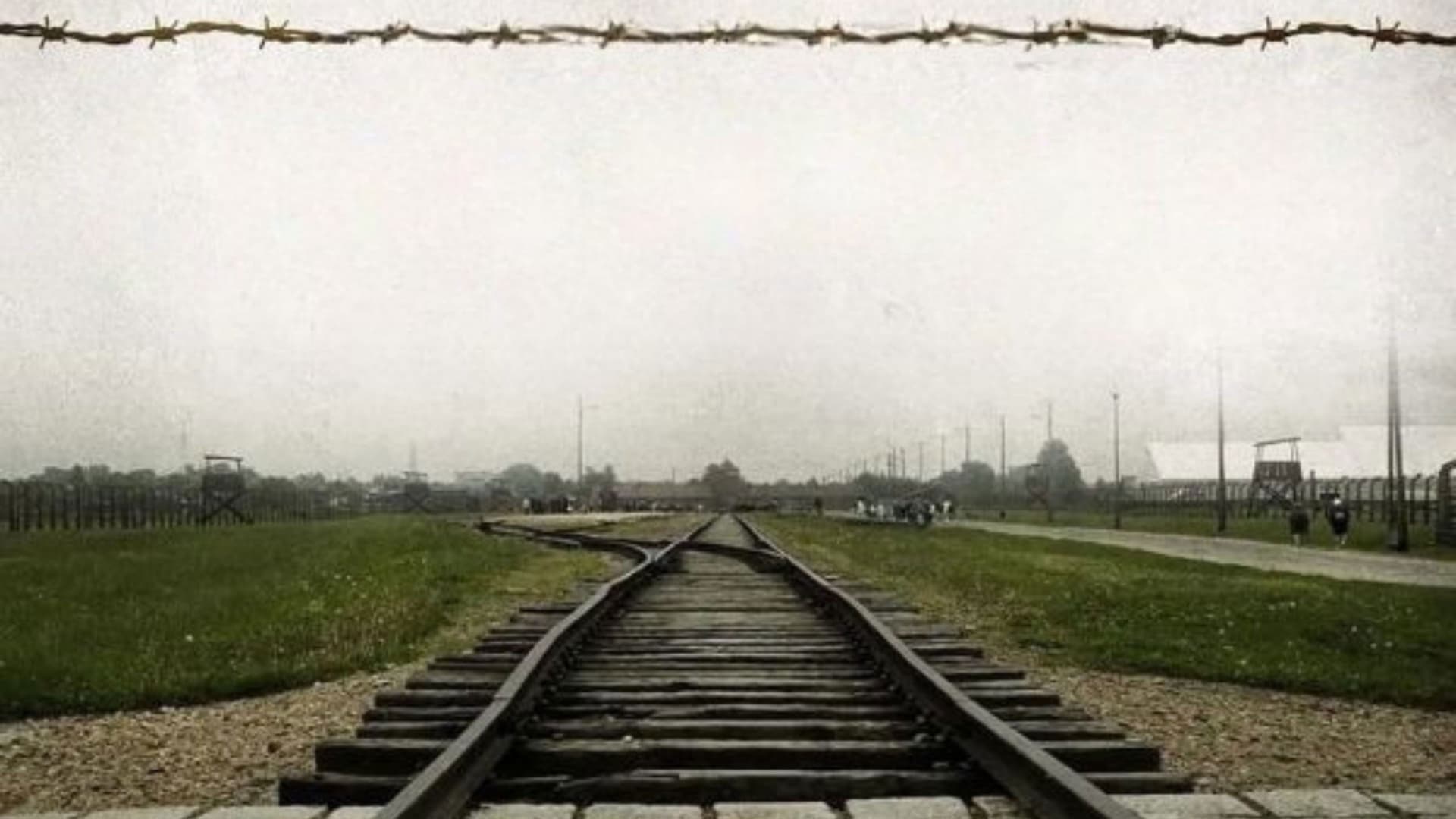 Além da Liberdade — A Vida de Viktor Frankl