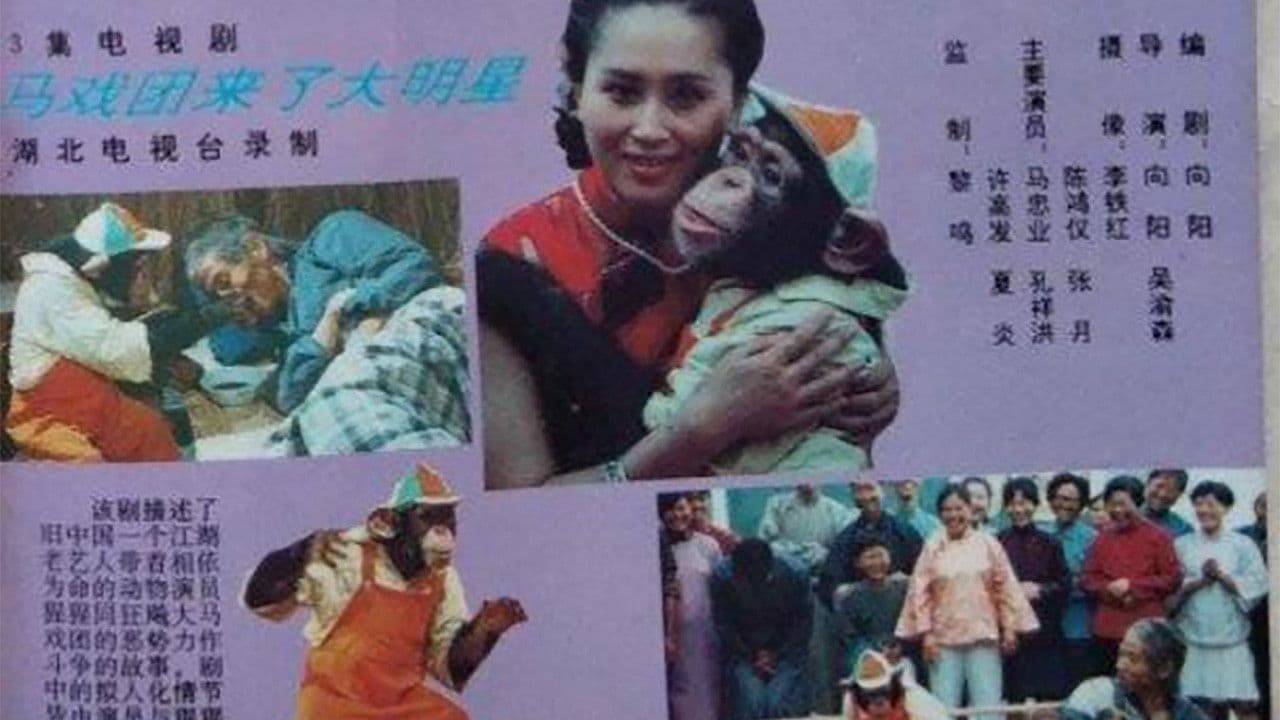 马戏团来了大明星