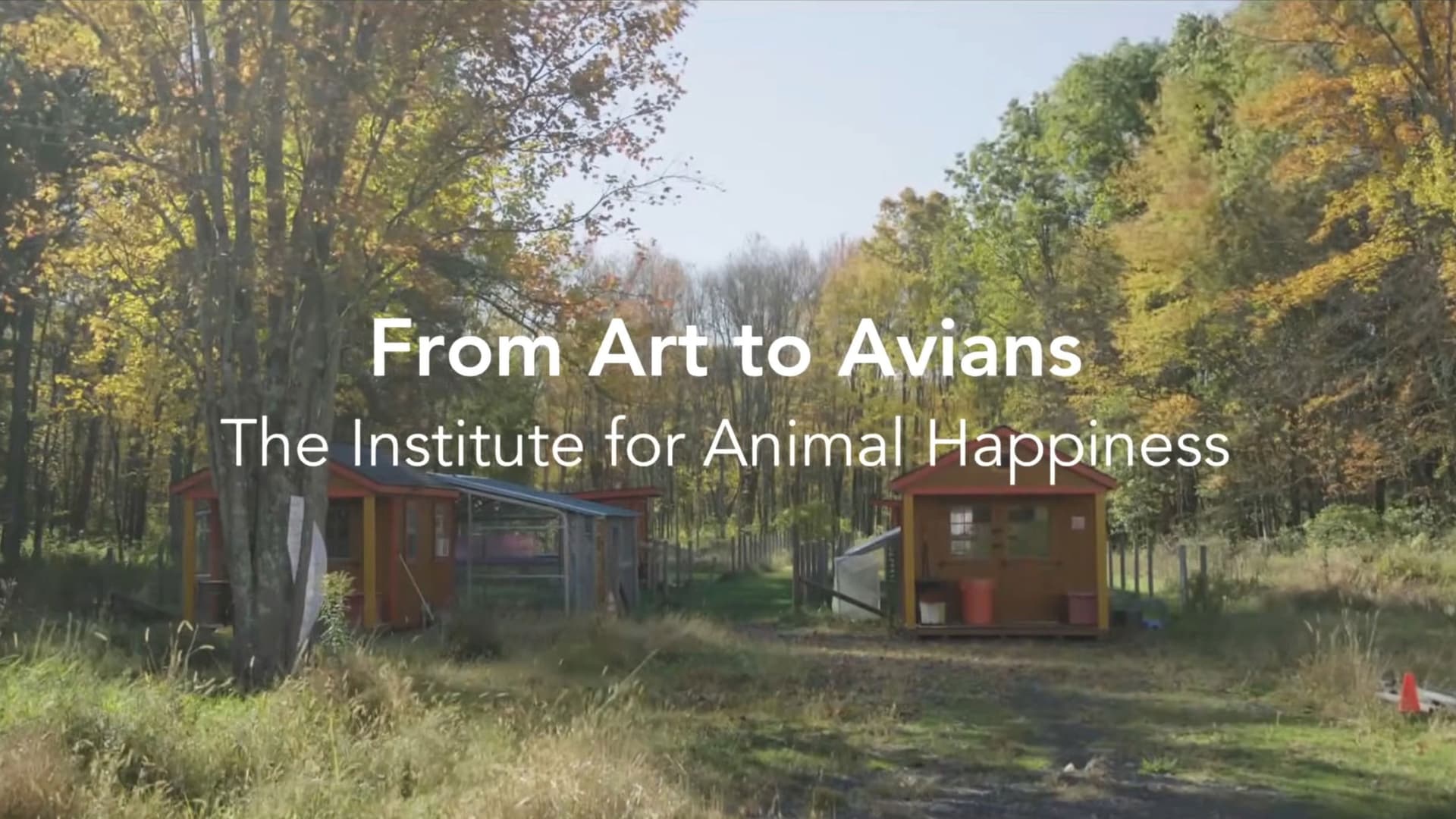 From Art to Avians