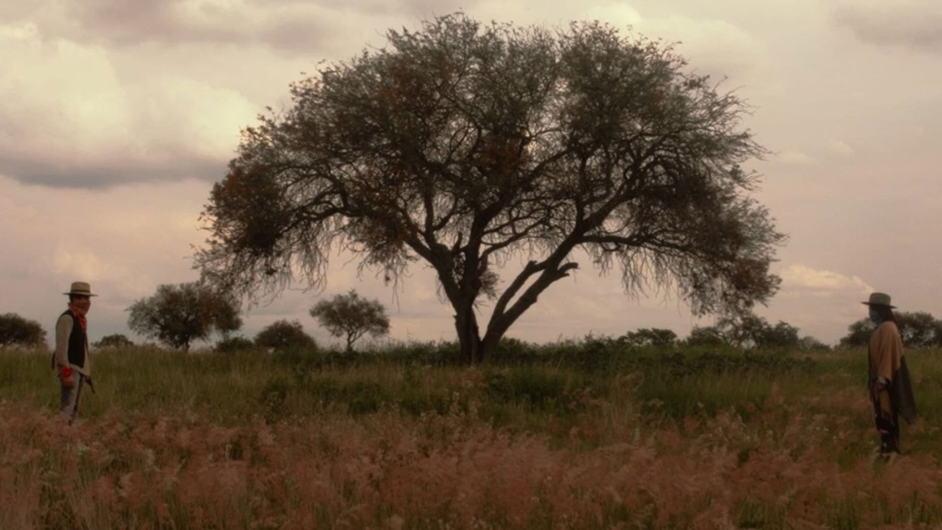 Una tarde en el parque